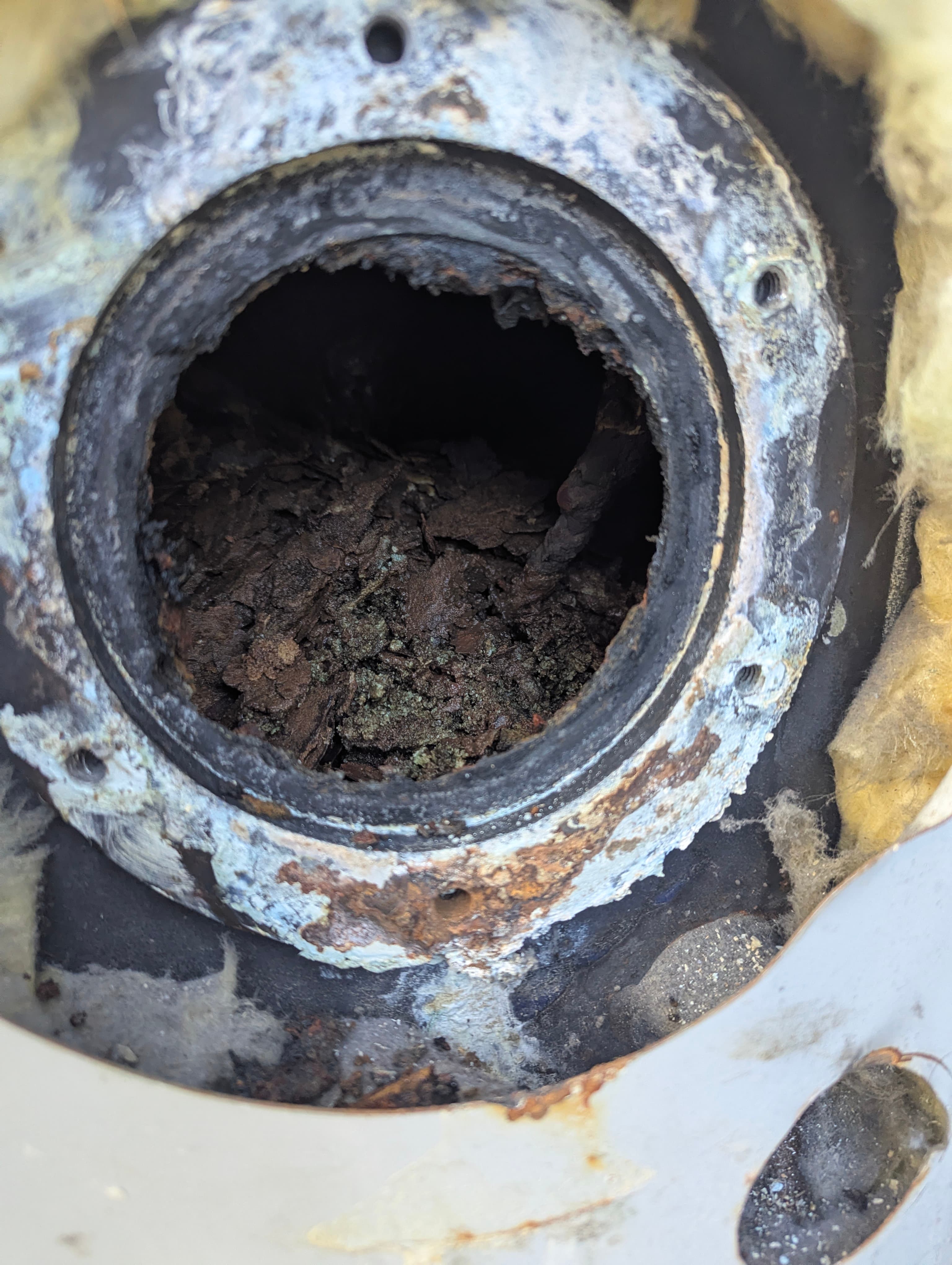 Water heater cleanout (1 of 6)